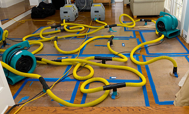 Professional Basement Flood Cleanup technician working in Cropseyville, NY